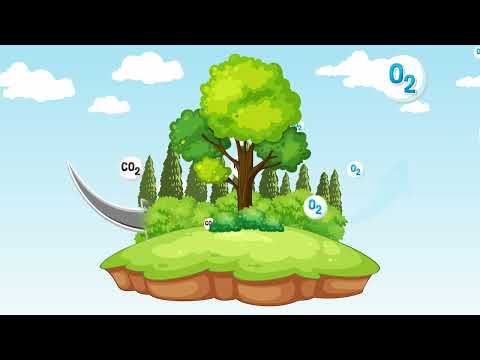 hqdefault-8.jpg Caixa d'Água 500L em Polietileno + Green Acqualimp - Imagem 4