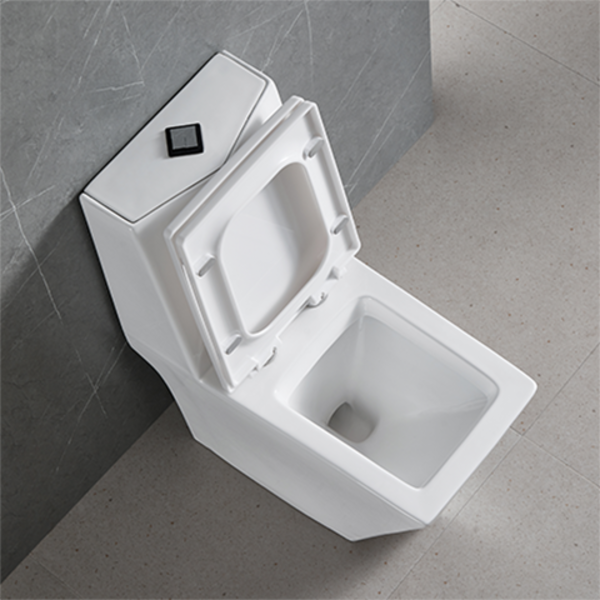 vaso_sanitario_monobloco_completo_diamante_caixa_acoplada_1571710896_7d71_600x600.png Vaso Sanitário Monobloco Completo Diamante - Caixa Acoplada - Imagem 5